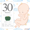 【妊娠8ヶ月】福田病院か慈恵病院か悩み中【30週0日目】