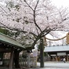 【結婚式当日レポ②】桜満開の中での神前式編