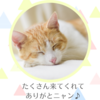 ✨１周年✨参加者さまへ💌ワクチン未接種(非接種) 婚活・恋活 アイリス