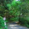 第十八番札所 恩山寺