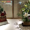 足を組まない、を続けているんだけど