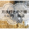 月夜野きのこ園【クワカブ福袋10000円】の中身を公開！【昆虫福袋】