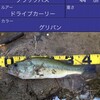 本日のおススメアプリ【ANGLERS】