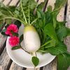 50代の食生活と栄養、旬の大根を使い切りたい