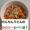 減量期　食事　第1回八べぇのバグレシピ　けんちんうどん編