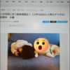 Facebookでの顔スタンプを使った写真加工
