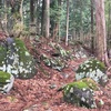 六ノ里母袋峠(栃洞)