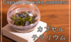 とってもお手軽！苔栽培キット『カプセルテラリウム』デビュー！