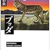 これでいいのか?〜手塚治虫『ブッダ』(3)