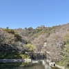 花粉症がさらに悪化。原因が自分にあるだけに情けない。