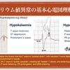 【コラム-139】：ECG Yellow web Book-004-低カリウム血症-その1】📕→📘→📙