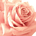 うさママのつぶやき