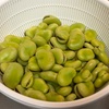 そら豆とマテ貝