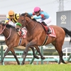 競馬初心者必見☆馬券予想🔥〜アメリカジョッキークラブカップ〜明らかな道悪巧者はいない時はステゴの底力を信じて‥‥〜