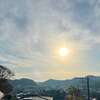 空き家になった蜂の巣