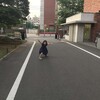 オタクの多い公園で / 倒れたところを見たことない