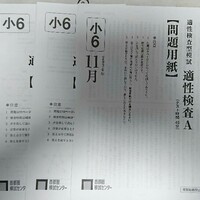 公立中高一貫校適性検査対策模試(公中検模試)について - 凸凹兄妹の母