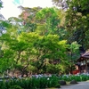 まさに幻想的という言葉がふさわしい京都、上賀茂神社の渉渓園。