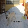 予想に反して晴天