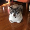 フレディに又会いに行ったよ。　二回目の楽しみ方