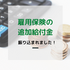 雇用保険の追加給付が振り込まれたよ【いつ？いくら？もらえる？】