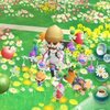 (ง •̀_•́)ง 『ピクミンブルーム』で脂肪肝改善を目指して 