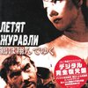 『鶴は翔んでゆく（戦争と貞操）』 100年後の学生に薦める映画 No.1209