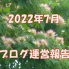 2022年7月ブログ運営報告 PV数が激増！ 直帰率は驚異の…？