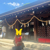  ◆KANA ~butterfly~について◆QOLの上がるアイテム30選◆生活・美容・旅など◆BEST BUY◆300記事達成記念◆