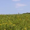欲しい物リスト