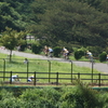  JCRCシリーズ第7戦in日本CSC(修善寺) 完敗