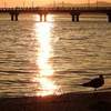 竹島海岸の夕陽 2016 １１月
