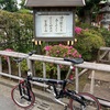 新横浜～旧綱島街道界隈「酒は飲んでも呑まれるな」ポタ