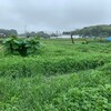 長雨の後の草刈り　－その１　畑が大変なことに！ー