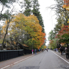 東北の小京都角館と抱返り渓谷の紅葉