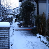 富山初雪！