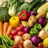 【わかりやすく解説】端境期（はざかいき）とは？野菜や魚、暮らしへの影響と特徴を知ろう