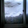 今日の１枚