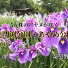 【 安曇野市 】龍門渕・あやめ公園｜県内最大級となる5万株のアヤメが美しいカヌーの聖地