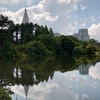 東京・新宿御苑～信濃町駅前を散歩