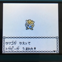 色違いポケモン紹介 Vc産トゲピー 自由に生きてあそblog