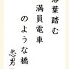 落葉踏む満員電車のような橋