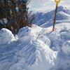 雪だるま日和に