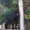 坊主憎けりゃ（２）