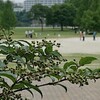 典型的な梅雨の日