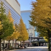 有楽町駅前の黄葉