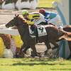 141026京都競馬場＜分割B：菊花賞以外＞