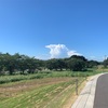 守谷で食事と公園散策。