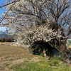 日赤病院で眼科の定期検診