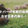 ヌートバーの名前の由来と意味、なぜ日本代表に！？